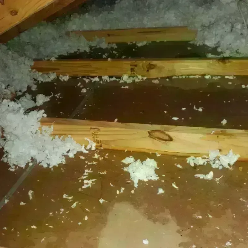 Attic Water Damage in Oostburg, WI