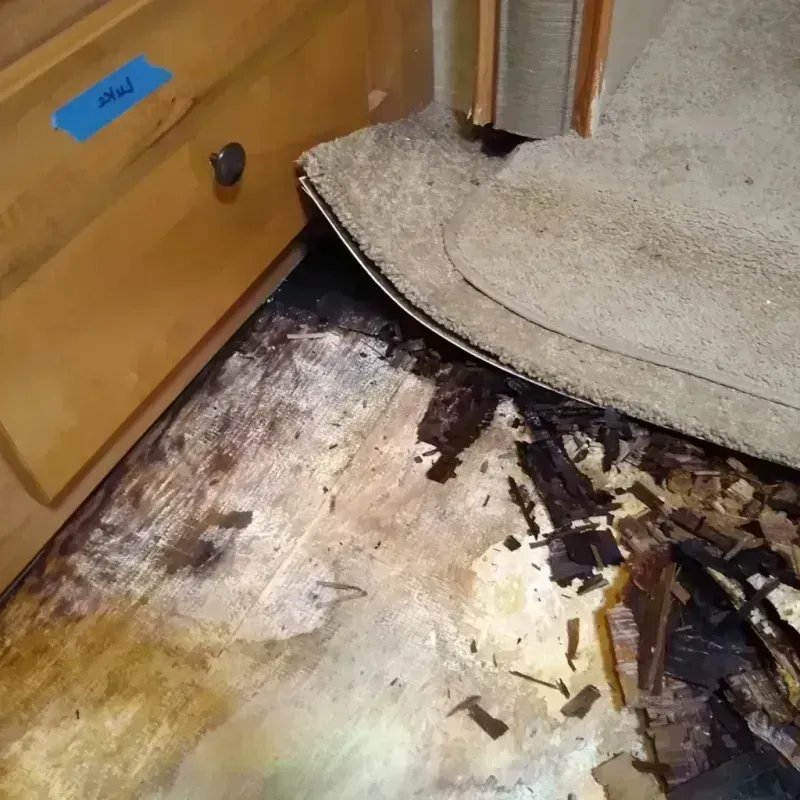 Wood Floor Water Damage in Oostburg, WI